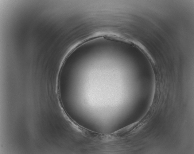 X0000059800815200511041625