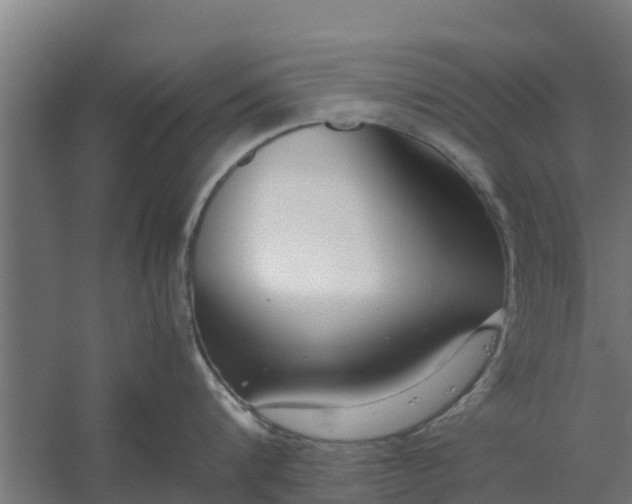 X0000059800816200511041625