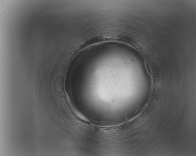 X0000059800817200511041624