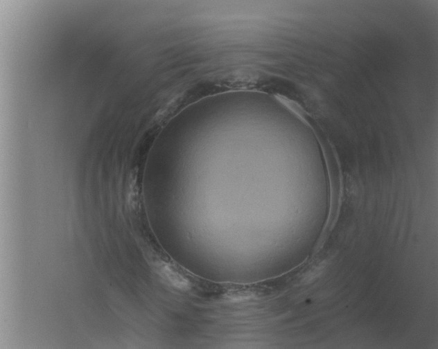 X0000059800818200511041624