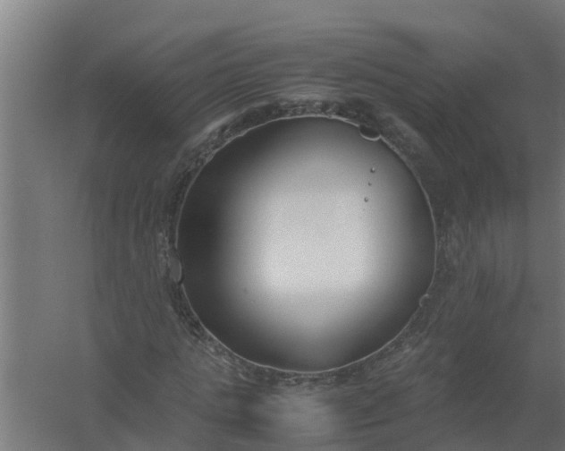 X0000059800821200511041625