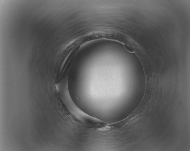 X0000059800822200511041625