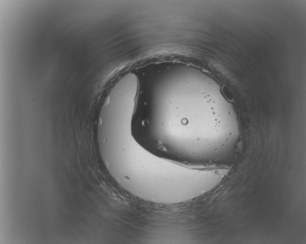 X0000059800824200511041625