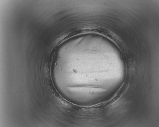 X0000059800825200511041625