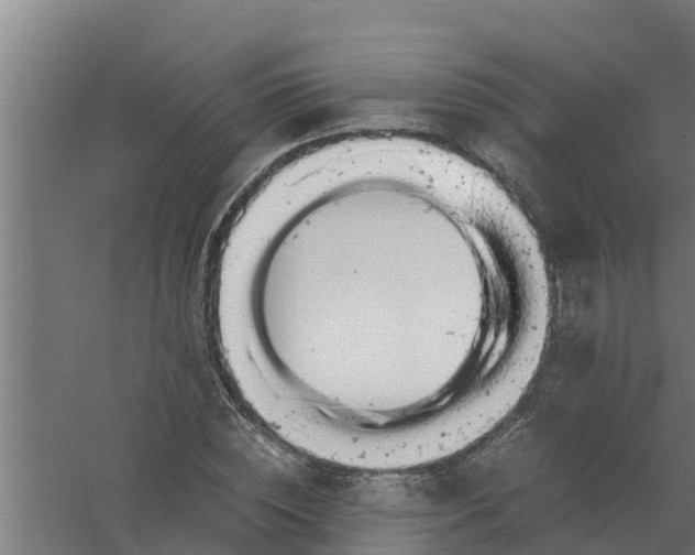 X0000059800828200511041625