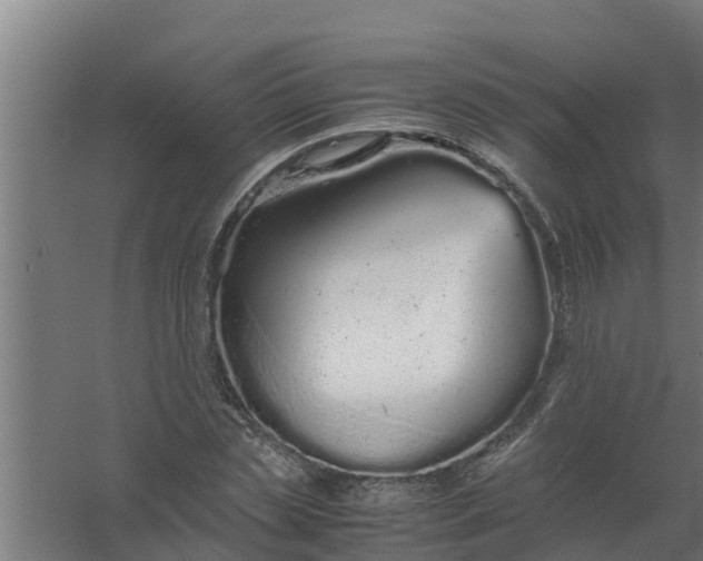 X0000059800829200511041625