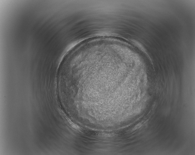 X0000059800831200511041625