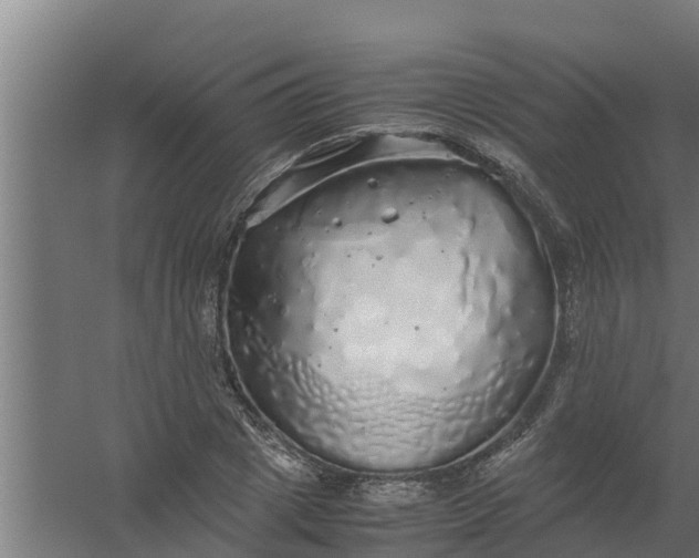 X0000059800833200511041625