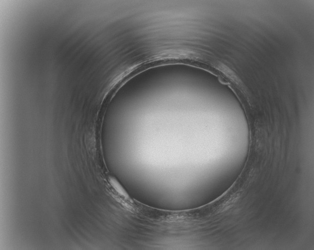 X0000059800834200511041625