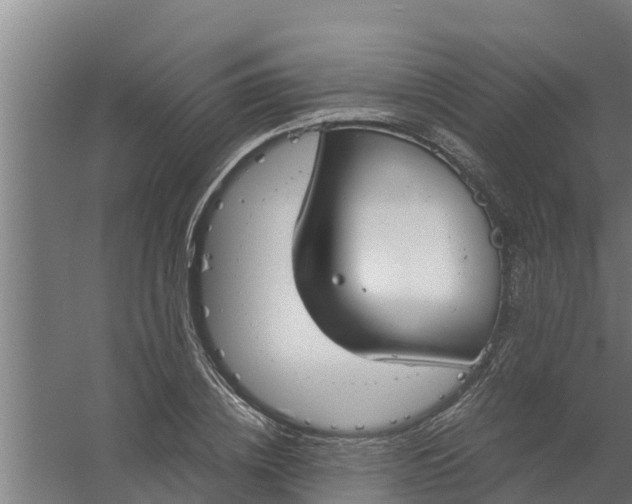 X0000059800836200511041625