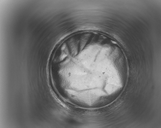 X0000059800840200511041625