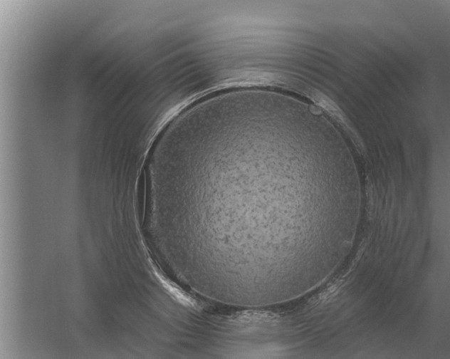 X0000059800842200511041625