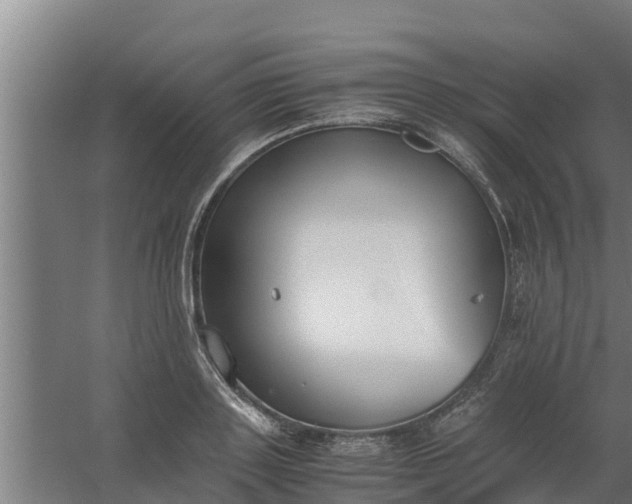 X0000059800843200511041625