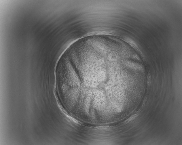 X0000059800844200511041625