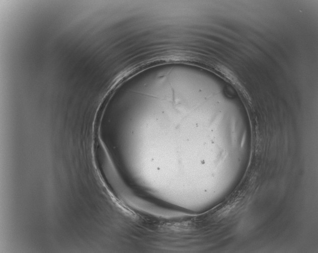 X0000059800845200511041625