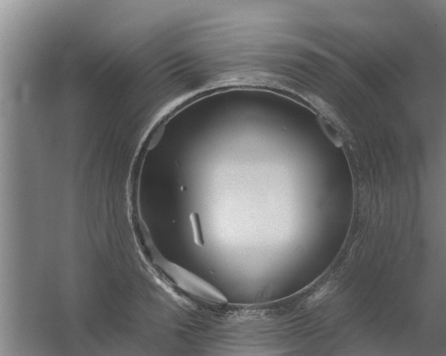 X0000059800846200511041625