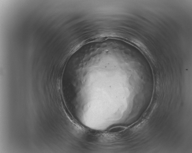 X0000059800849200511041625