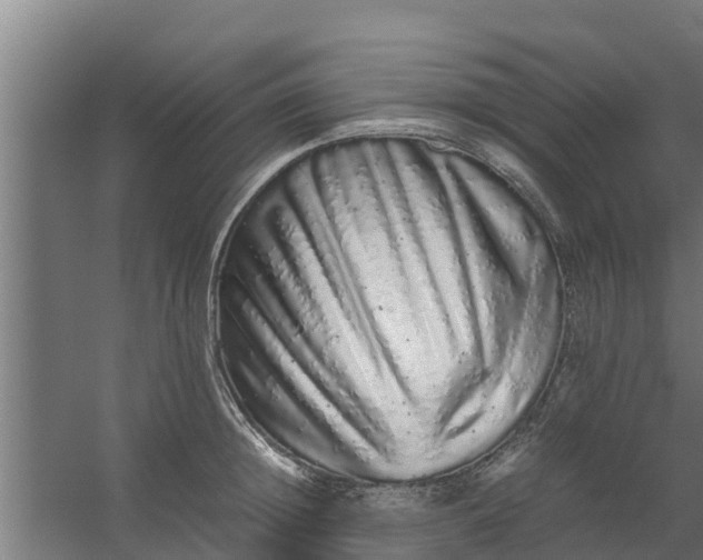 X0000059800852200511041625