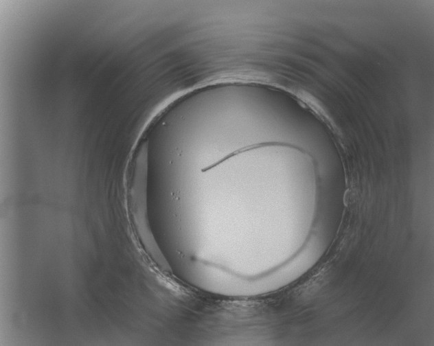 X0000059800854200511041625