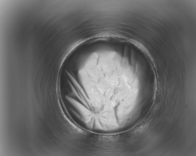 X0000059800855200511041625