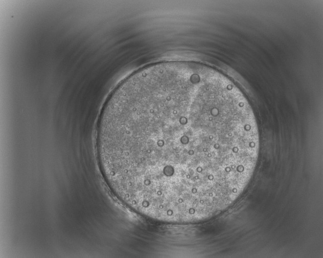 X0000059800856200511041625