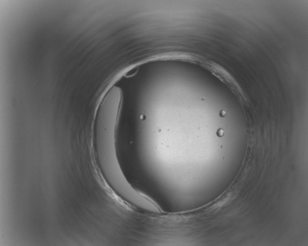 X0000059800860200511041625