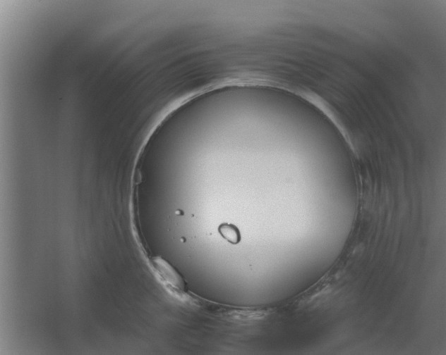 X0000059800861200511041625