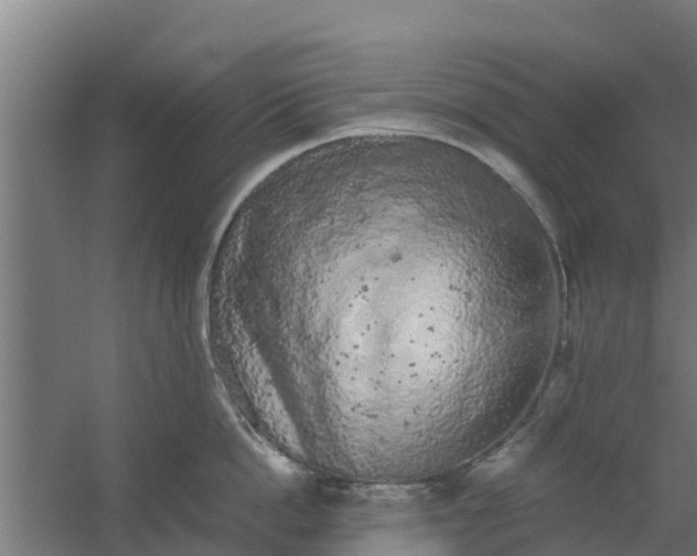 X0000059800862200511041625