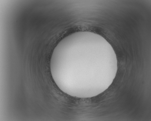 X0000059800865200511041624