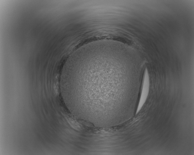 X0000059800868200511041624