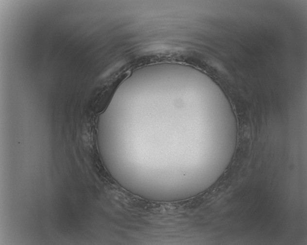 X0000059800869200511041624