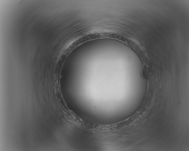 X0000059800871200511041624