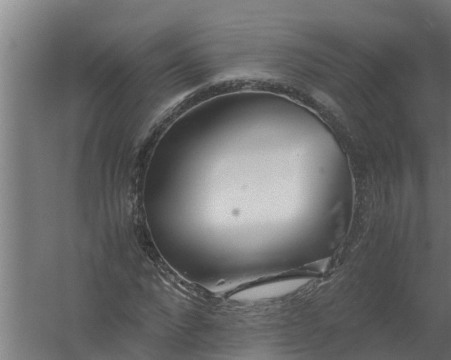 X0000059800872200511041624