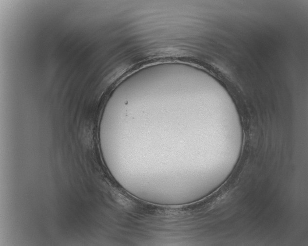 X0000059800873200511041624