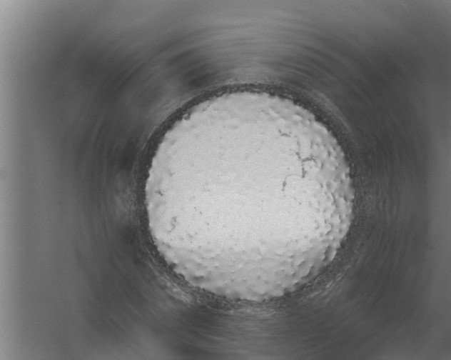 X0000059800874200511041624