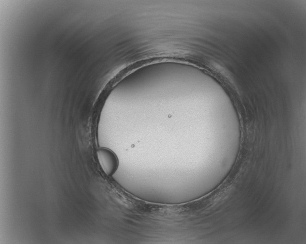 X0000059800875200511041624