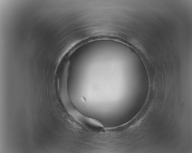 X0000059800877200511041624