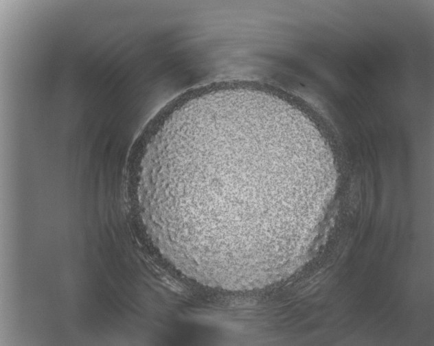 X0000059800878200511041624