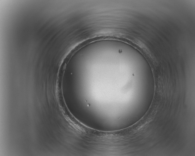 X0000059800880200511041624