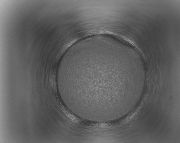 X0000059800881200511041624