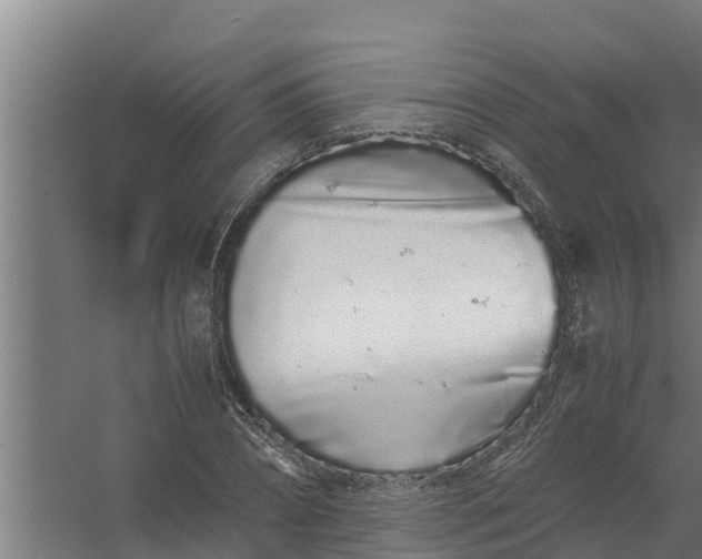 X0000059800882200511041624