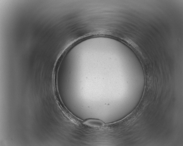 X0000059800886200511041624