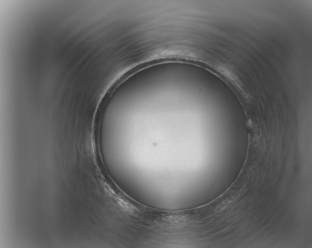 X0000059800888200511041624