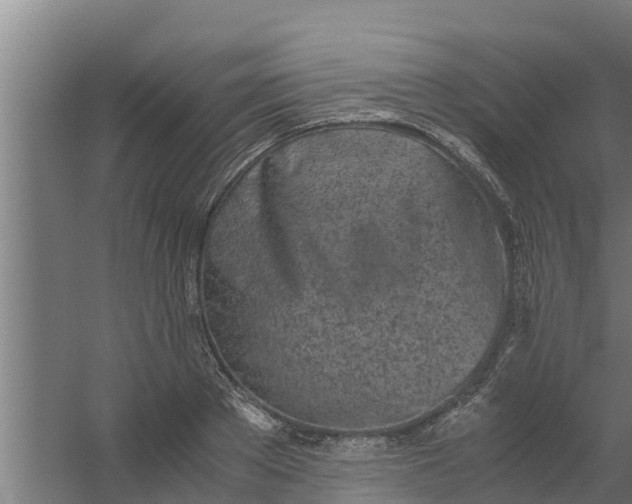 X0000059800889200511041624