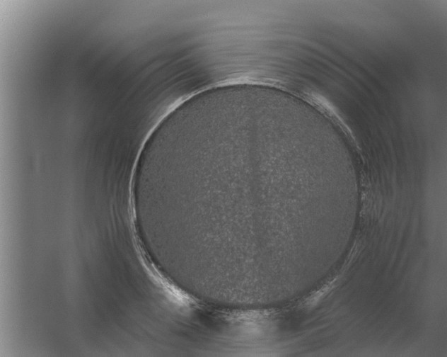 X0000059800892200511041624