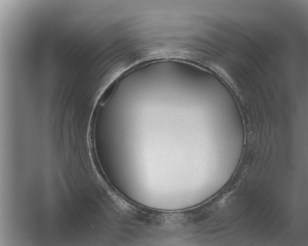 X0000059800893200511041624