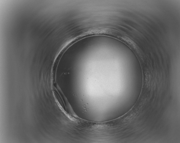 X0000059800894200511041624