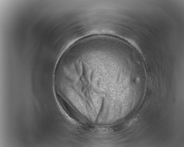 X0000059800895200511041624