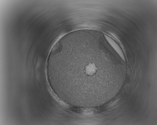 X0000059800899200511041624