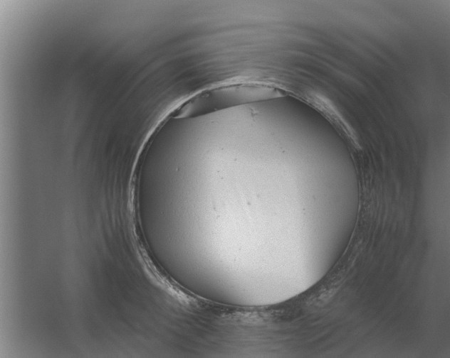 X0000059800900200511041624